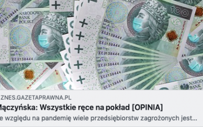 Artykuł prof. Elżbiety Mączyńskiej